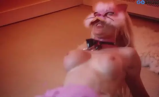 Sweet Kitties Enjoy Intimate Playgrounds